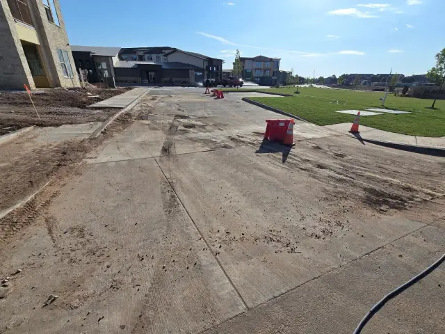 Dirt and mud on the drive